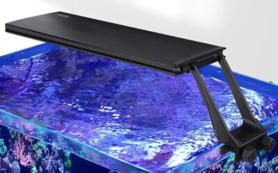 MARINE AND CORALS LED (HG990 SEA)