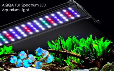 PANTALLA LED WRGB (AQ085)