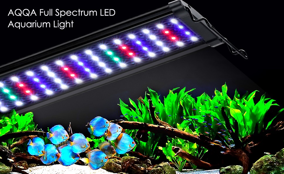 PANTALLA LED WRGB (AQ085)