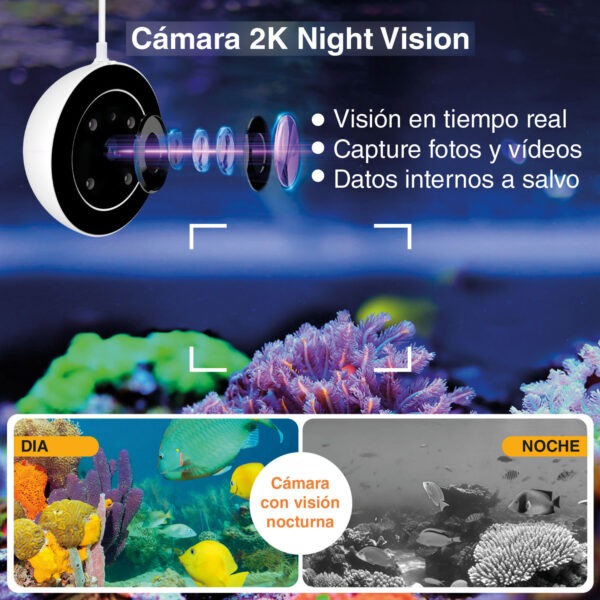 Alimentador automático WIFI con cámara HD HYGGER HG082B | Control remoto y vigilancia en tiempo real
