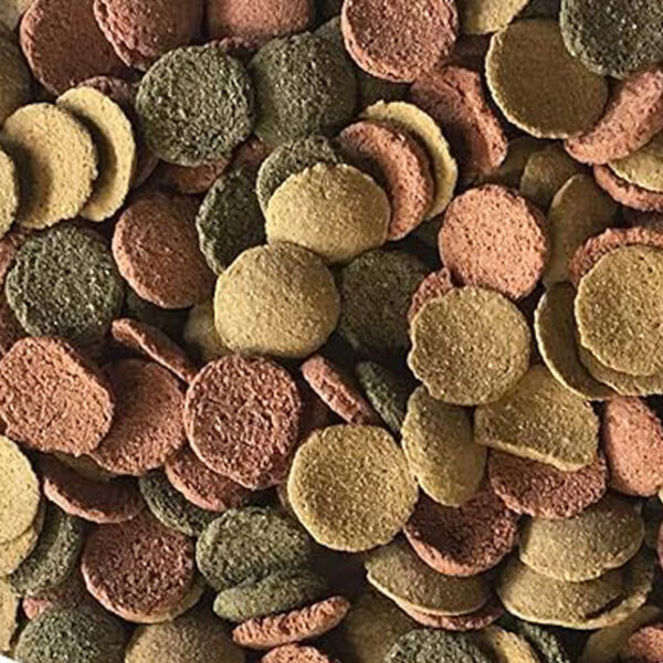 B4F Base Mix Tablet | Alimento en tabletas con ajo para todo tipo de peces de fondo.
