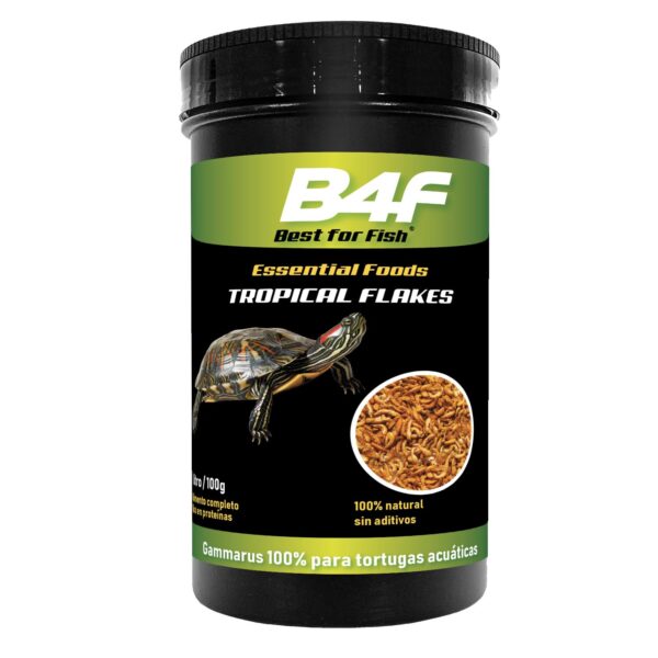 B4F Dried Fish | Alimento para peces a base de peces desecados