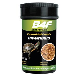 B4F Dried Fish | Alimento para peces a base de peces desecados