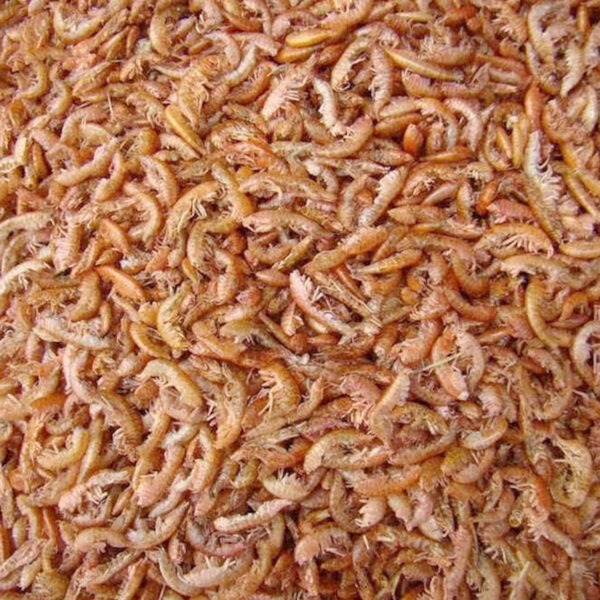 B4F Dried Fish | Alimento para peces a base de peces desecados