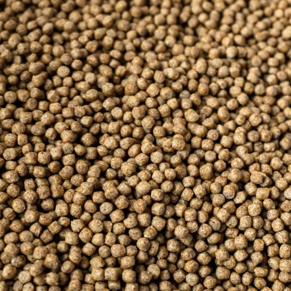 B4F Garlic Gran : Alimento granulado para peixes tropicais enriquecido com alho