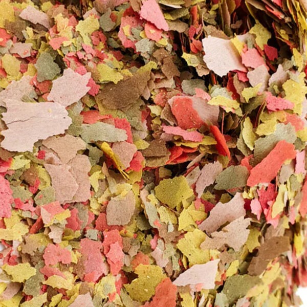 B4F Goldfish Flakes : Alimento em flocos para peixes de água fria