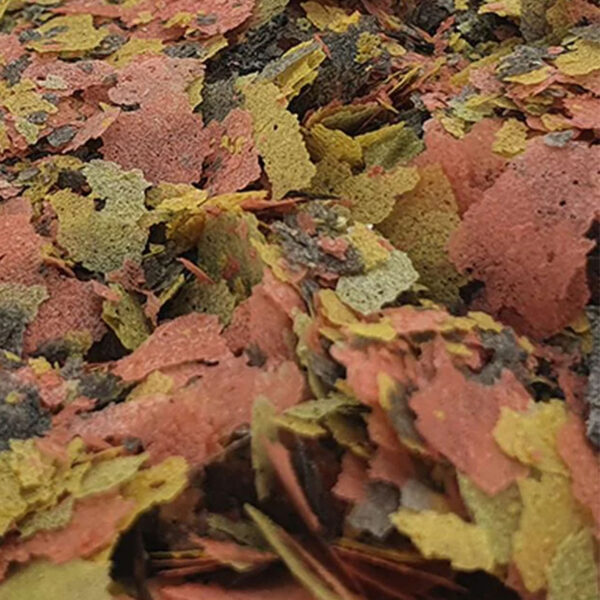B4F Malawi Flakes | Alimento en escamas para cíclidos de Malawi y Tanganica