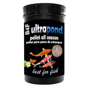 B4F Pellet All Season | Alimento en sticks para peces de estanque, Koi y Goldfish.