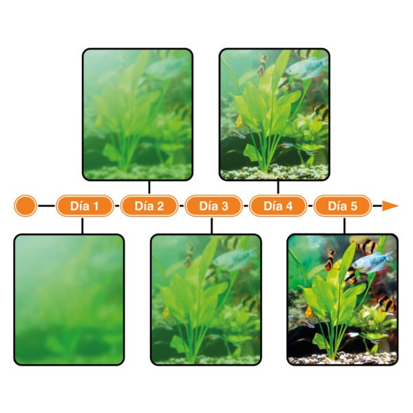 Filtros Internos UV Hygger HG032 | Filtración y Oxigenación Profesional