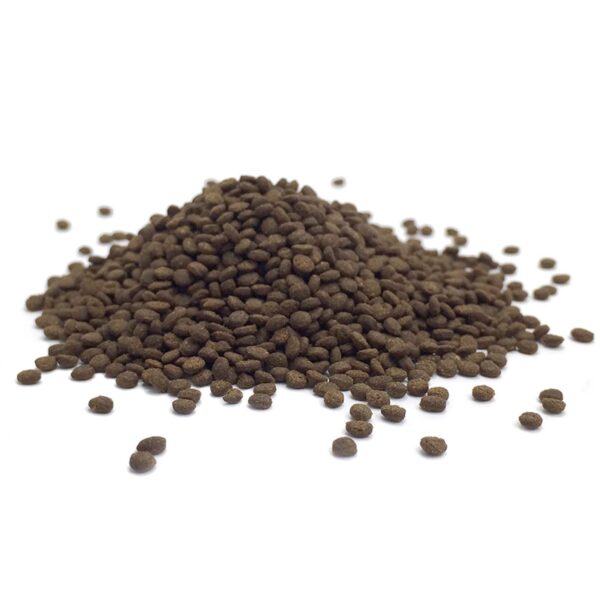 Pellet Premium Marine Grain L | Ultra Fresh Marine Shrimp Patties L, para peixes marinhos