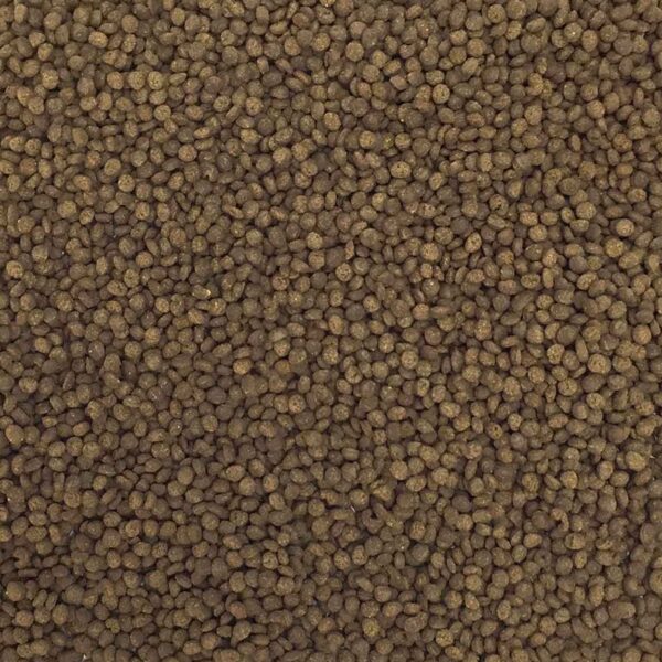 Pellet Premium Marine Grain L | Ultra Fresh Marine Shrimp Patties L, para peixes marinhos