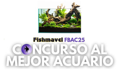 Primer Concurso Fishmavel al Mejor Acuario FBAC 2025