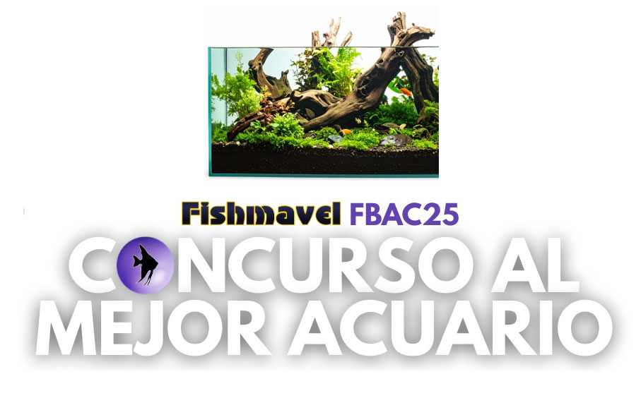 Concurso Fishmavel al mejor acuario FBAC 2025