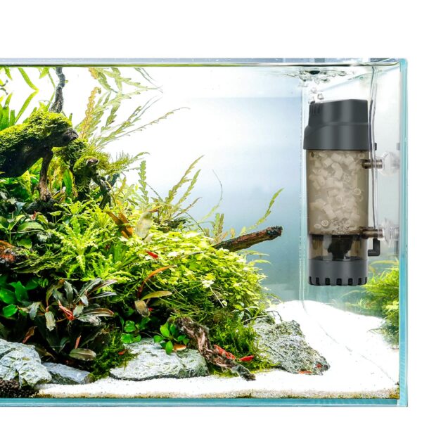 Filtro de leito fluidizado AQQA | A filtragem biológica mais potente e eficiente