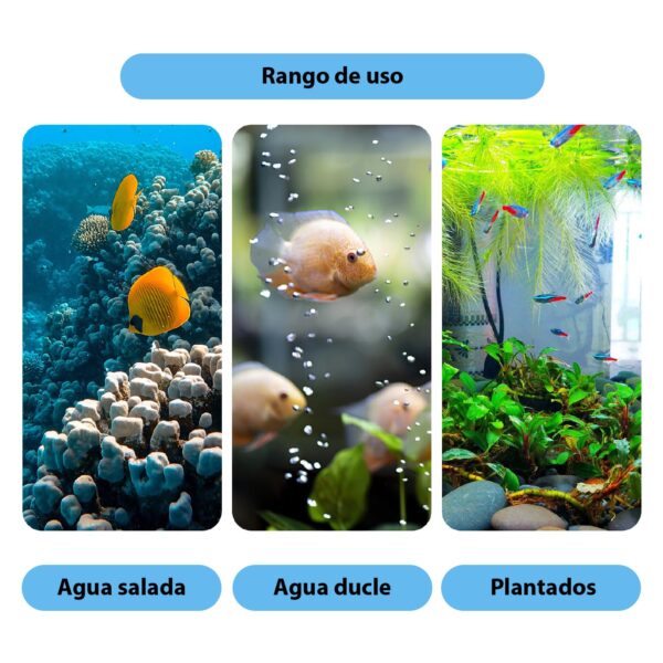 Filtro de leito fluidizado AQQA | A filtragem biológica mais potente e eficiente