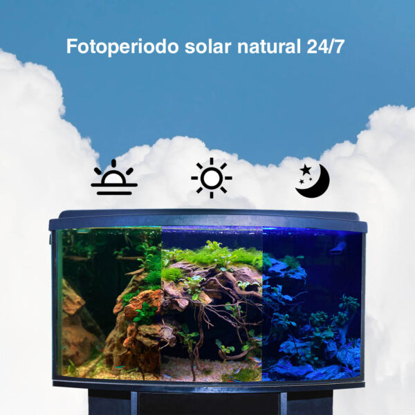 Pantallas LED Sumergibles WRGB | HG005 ideales para acuarios de agua dulce