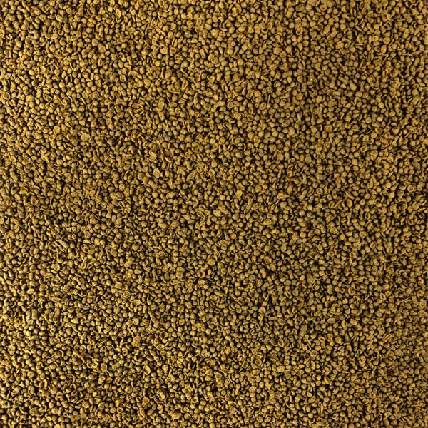 Betta Premium Pellet | Ultra Fresh Betta PRO Shrimp Patties