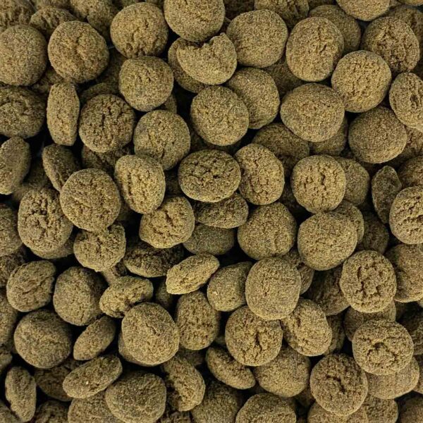 Shrimps Pro Sea Food | Alimento de Ultra Fresh Super Premium en tabletas para gambas