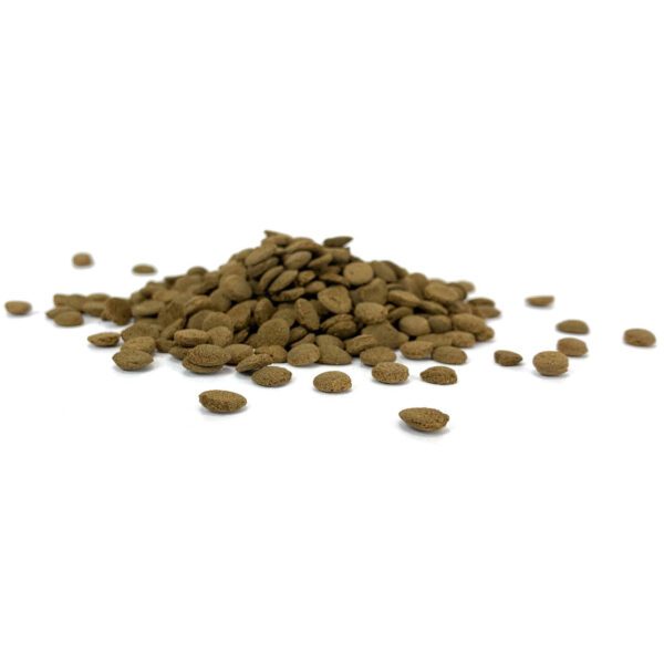 Tableta Premium Corydoras | Ultra Fresh Tropical Shrimp Pie Alimento Super Premium para peces carnívoros de fondo