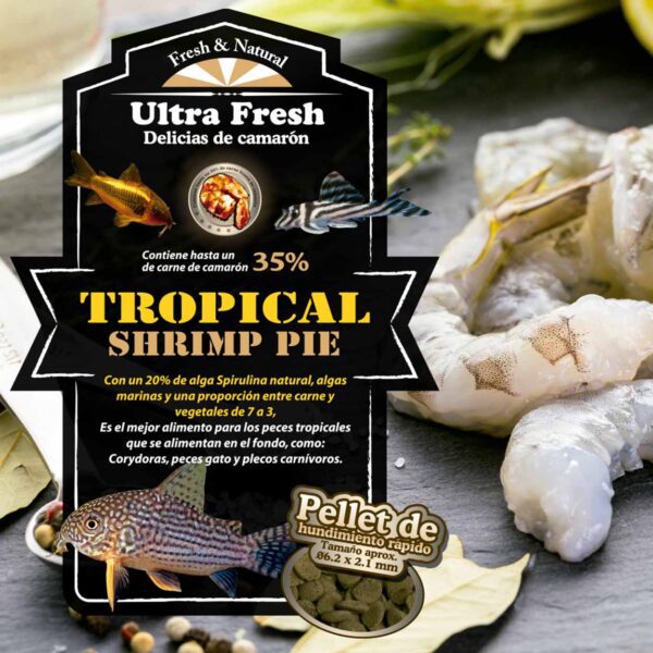 Tableta Premium Corydoras | Ultra Fresh Tropical Shrimp Pie Alimento Super Premium para peces carnívoros de fondo