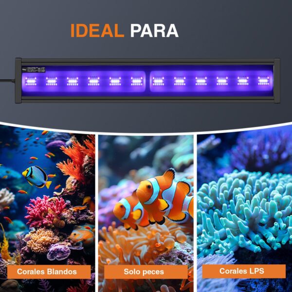 Pantalla HYGGER Marine One HG173| Iluminación profesional para corales exigente