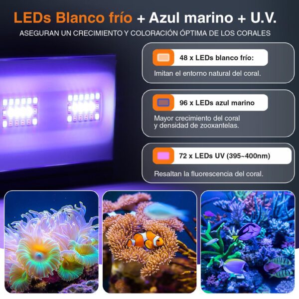 Pantalla HYGGER Marine One HG173| Iluminación profesional para corales exigente