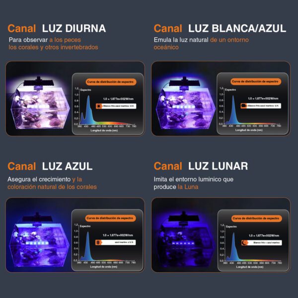 Pantalla HYGGER Marine One HG173| Iluminación profesional para corales exigente