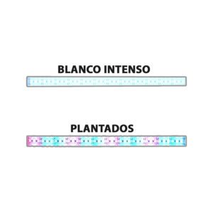 Barra LED BLANCOS y AZULES